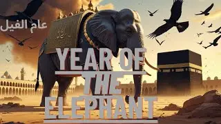 The Year of the Elephant | The Miracle That saved the Ka &lsquo;bah.