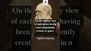 Charles Darwin&rsquo;s Words That Still Inspire Millions - 12