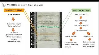 Sedimentology of overbank turbidity current deposits in a high-latitude channel | N. Varela