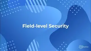 Salesforce: Field-level Security