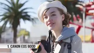 Top 5 best dslr Camera from beginner to advanced level at budget.