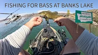 BASS FISHING BANKS LAKE WASHINGTON IN THE HEAT