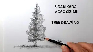 Agaç Nasıl  Çizilir - How to Draw Tree