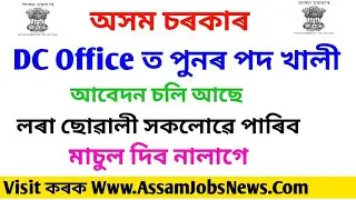 Assam Govt, Deputy Commissioner Office Recruitment 2019// Male Female Apply DC Office 16 Post Nagaon