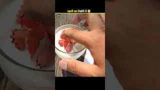 #banku