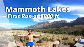 Going to Mammoth Lakes to Train Like a PRO | First Run at 8000 feet