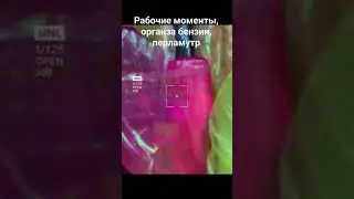 Органза бензин