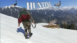 Pheasant hunting || winter season hunting || Hunting in Pakistan