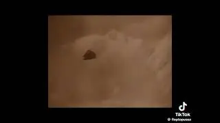 Dorothy Gale gets knocked out by the tornado in the wizard of oz 