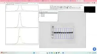 Using Image J to measure band intensity of a western blot