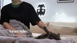 NeonWill X ValioArt | Black Cats LED Neon Sign Art