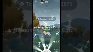 New legendary shiny ✨ #shiny #pokemon #legendary #shots