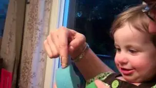 Maya counting