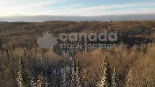 Morning drone flight over snowy winter forest stock video. Northern Ontario, Canada. 4K