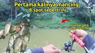 Hitungan detik langsung di sambar‼️ Pertama kalinya nya mancing di spot seperti ini