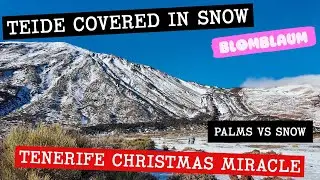 Snow in Tenerife?! ❄️ Mount Teide Turns White at Christmas | A Rare Tropical Winter