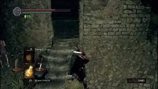 How to kill Crestfallen warrior
