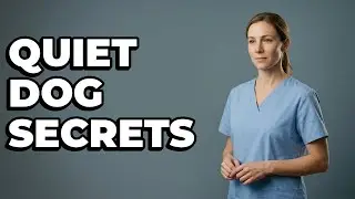 How Do I Provide Enough Exercise To Stop Dog Barking?