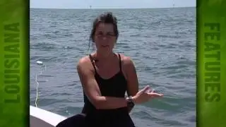 Dead Zone, Gulf of Mexico Hypoxia Zone (2003)