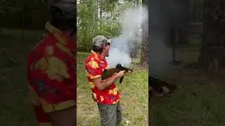 Firebird Target with a BB Gun? #shorts