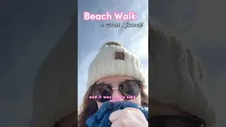 A cold walk on the beach 🏝️🥶#beach #beachwalk #beachfinds #sharkteeth #beachlife