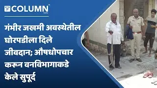Newasa | दगड मारल्याने जखमी झालेल्या घोरपडीला औषधोपचार करून वनविभागाकडे केले सुपूर्द