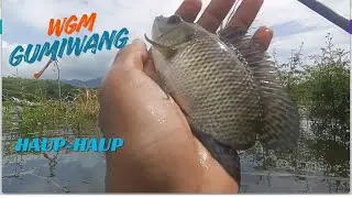 MANCING DI WGM SPOT VIRAL TERBARU, KIDUL JEMBATAN GUMIWANG IKAN HAUP HAUP #fishing #mancing #fish