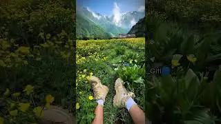 A Hidden Green Paradise in Iran 🌿✨ | Daryasar Plain, Mazandaran