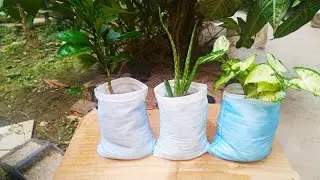 Make flower pot with old mask | Amazing Idea ever Reuse Mask | Mask reusing idea | best out of waste