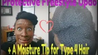 Natural Hairstyle: Easy Updo on Type 4c Protective Style