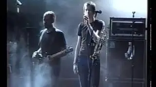 LADYBUG TRANSISTOR  - Contempopranea 2004