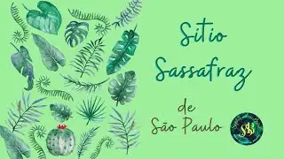 Tourisme rural et responsable producteur de vin au Br&eacute;sil #Sitiosassafraz #tourismeresponsable #vin