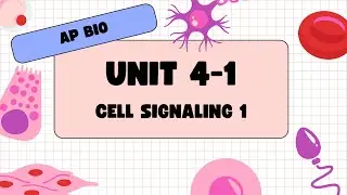 AP Bio unit 4 1