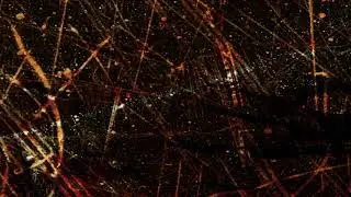 ZU Terminalia Amazonia Extract 2 Visuals by Lillevan