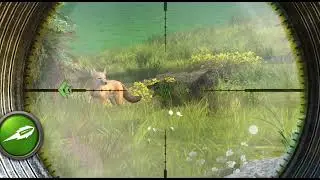 Animal Hunting | Wild Hunting Games 3D | Wild Animals 2023 | Gameplay #37 | #2023 | #huntinggames