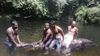 Oludola supiri fun