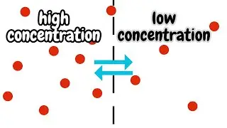 Diffusion | Osmosis | Active Transport