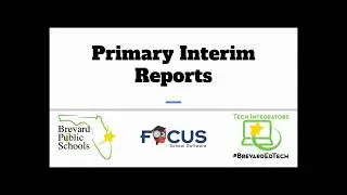 Primary Interim Reports