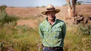 Collective Impact: Regenerating the Chapman Catchment