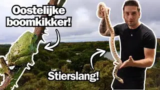 Opzoek Naar Exoten in West-Nederland! | Lukt het ons om ze te Vinden?!?