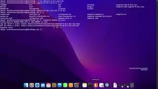 Getting Started with Apache Zeppelin: How To Download and Install Apache Zeppelin on MacOS
