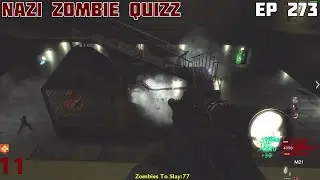 Quizz - S&Eacute;RIE COD WAW CZ#273