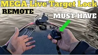 Mega Live Remote (Highly Recommend)