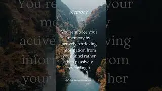 Supercharge Your Memory: Mastering Active Recall for Enhanced Information Retention