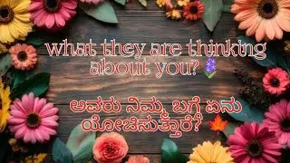 🔮What they are thinking about?☘️❤️ ಅವರು ನಿಮ್ಮ ಬಗ್ಗೆ ಏನು ಯೋಚಿಸುತ್ತಾರೆ? ❤️🪻