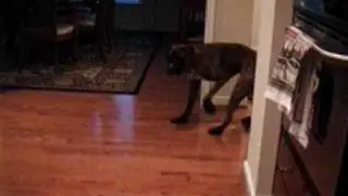 Bosco Boots