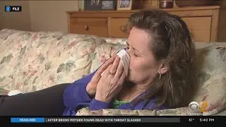 Rise in Omicron subvariant BA.2 cases coinciding with allergy season