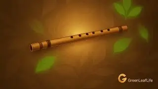 Relax, Meditate & Heal with GreenLeafLife | 1 Hour Bamboo Flute & Nature Ambience