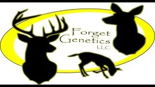 Forget Genetics