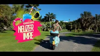 Neuzer Imre - D&uuml;b&ouml;r&ouml;g a ny&aacute;r